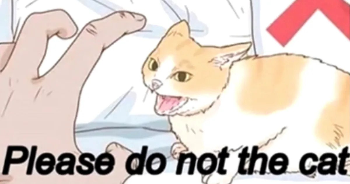 Please Don't Disturb the Cat