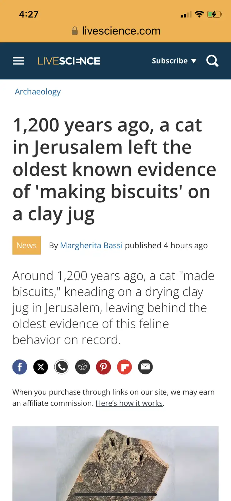 A screenshot of a Live Science news article about a cat kneading a clay jug 1,200 years ago, leaving marks interpreted as…