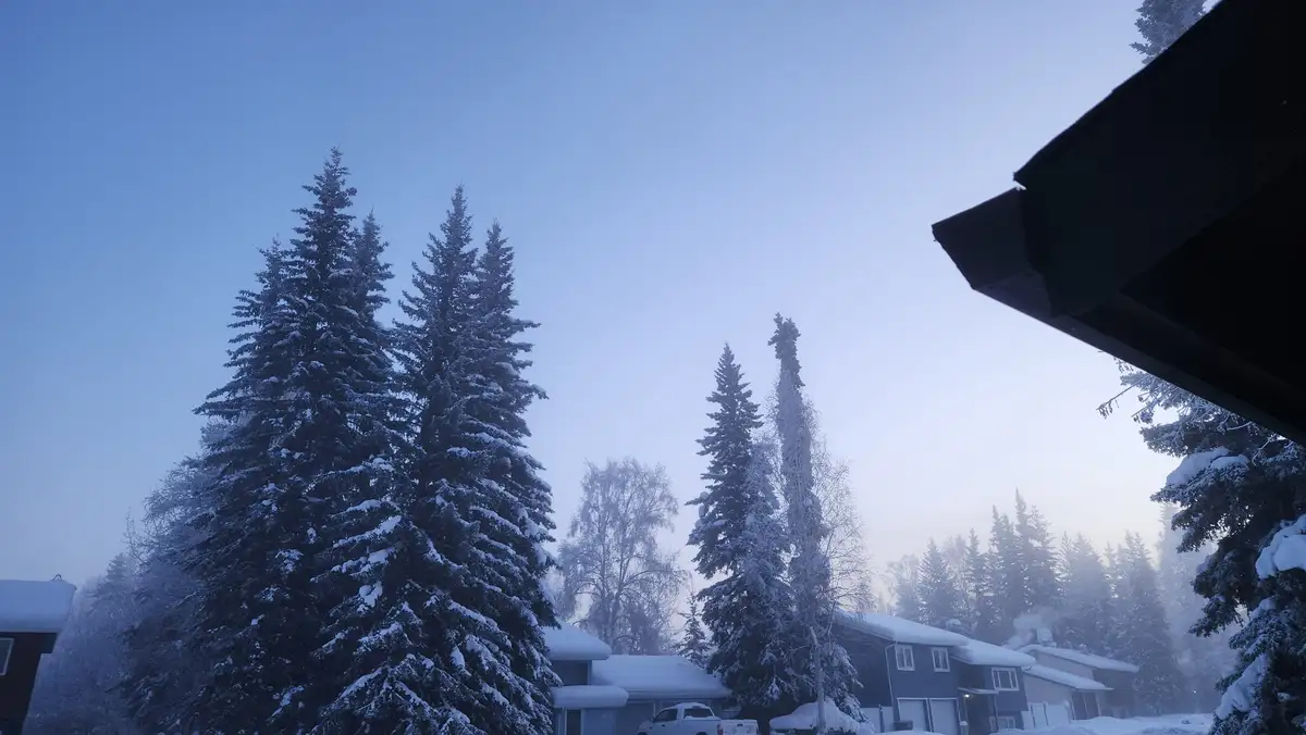 Let It Snow: Winter Wonderland Awaits!
