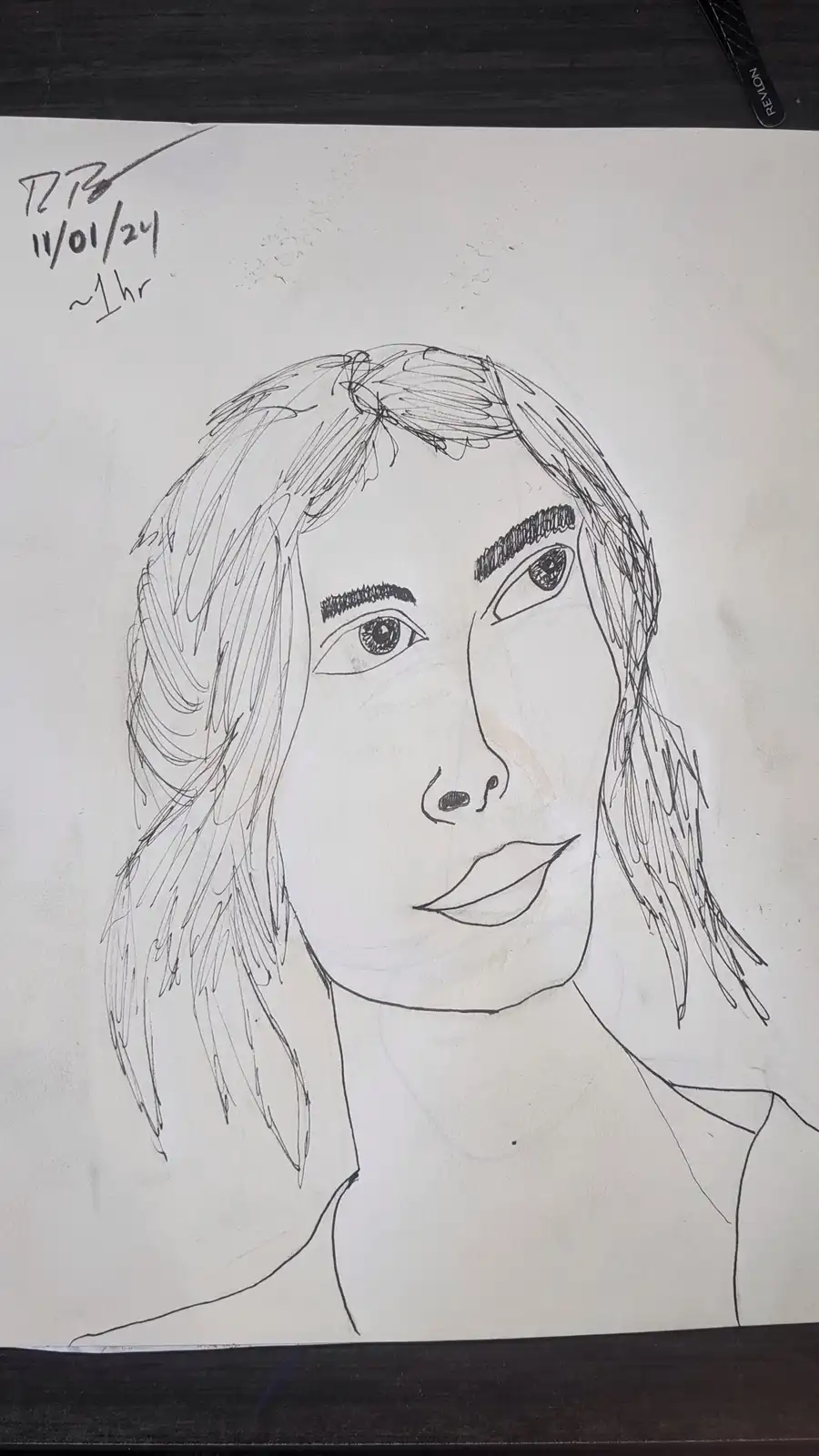 A Daily Portrait Journey Begins