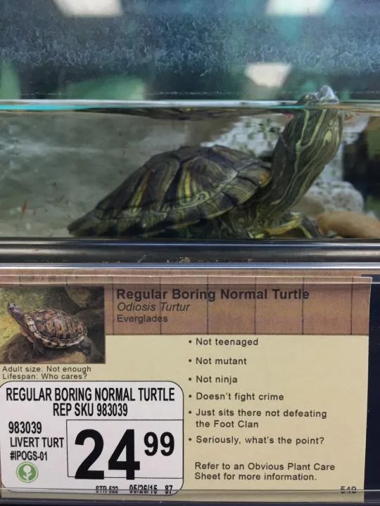 A pet store tag for a turtle labeled 'Regular Boring Normal Turtle' lists absurdly mundane features like 'Not mutant' and…