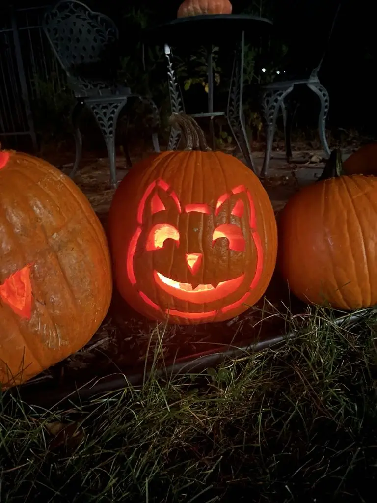 The Purr-fect Halloween Cat Pumpkin