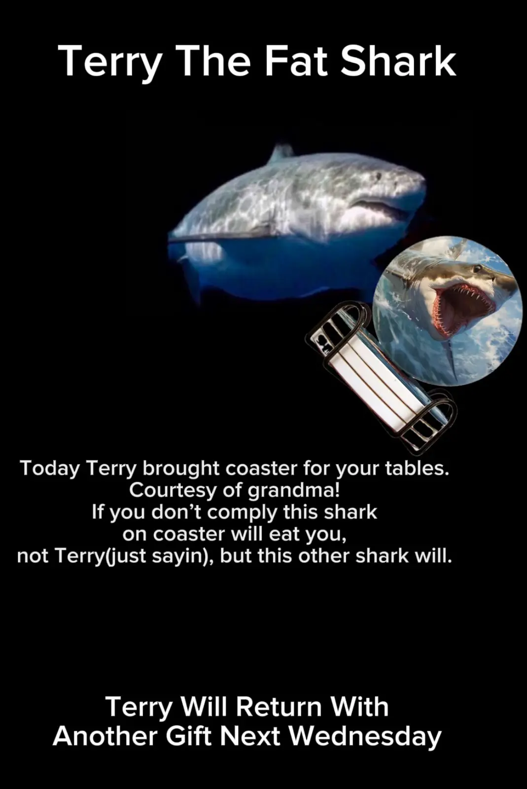 A black background image features a large, plump-looking shark labeled 'Terry The Fat Shark' above it. To the right, a…