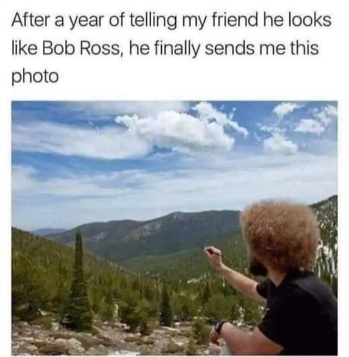 Embracing Life's Happy Accidents