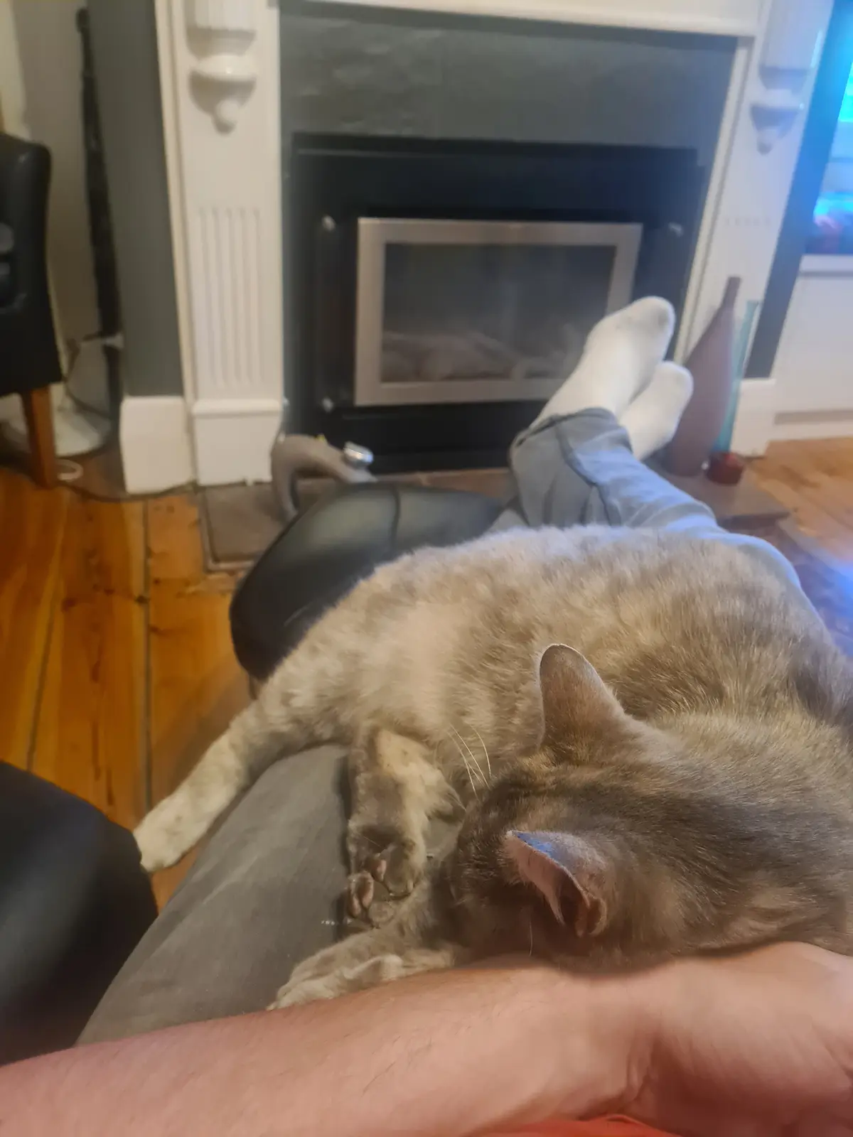 A person wearing white socks and grey pants is lounging with their legs up in front of a fireplace, while a grey cat sleeps…