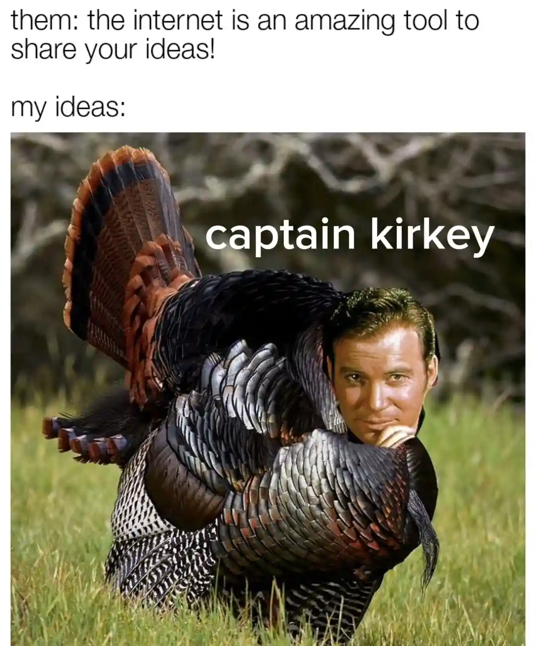 The image shows a turkey with a human face superimposed on its head, looking smugly at the camera. The turkey's body is…