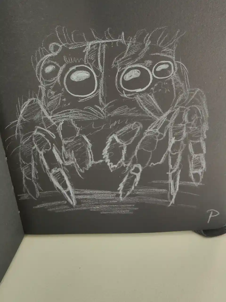 A chalk drawing on a dark surface depicts a large, cartoonish spider with oversized, expressive eyes and multiple legs…