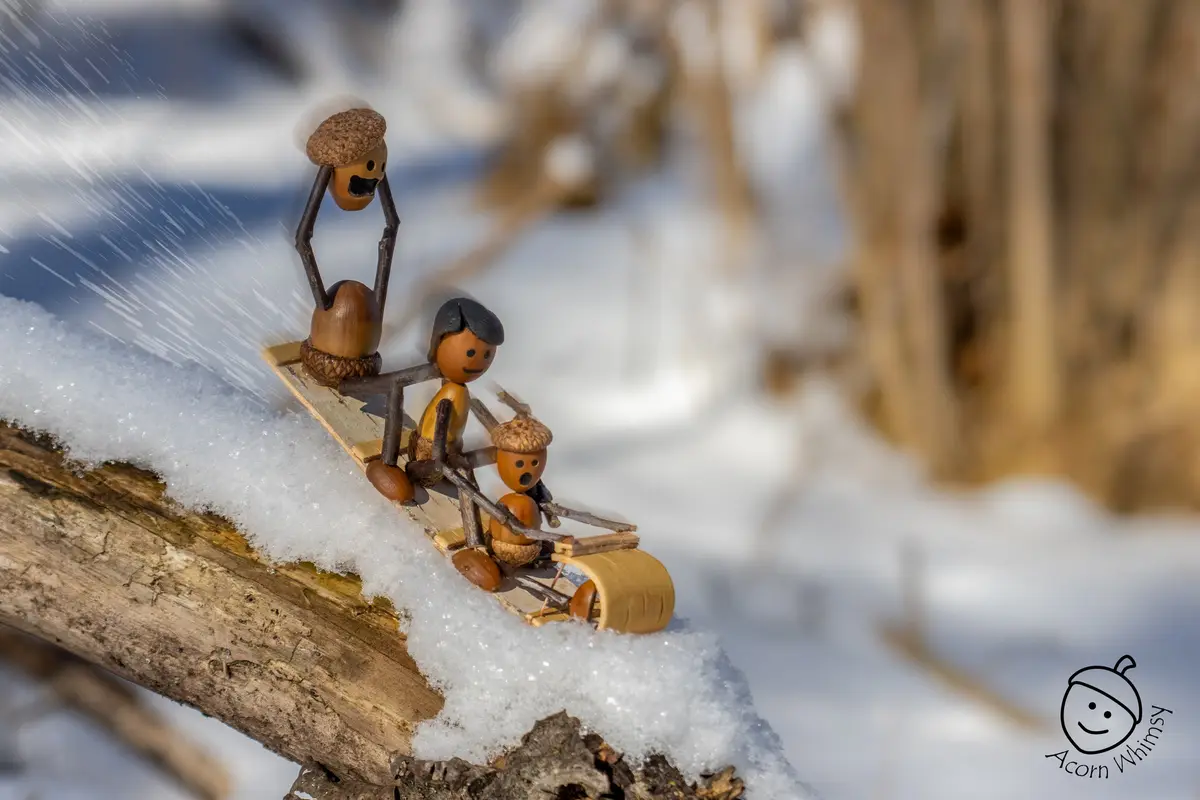 Hang Tight, Acorns! We're Almost There!