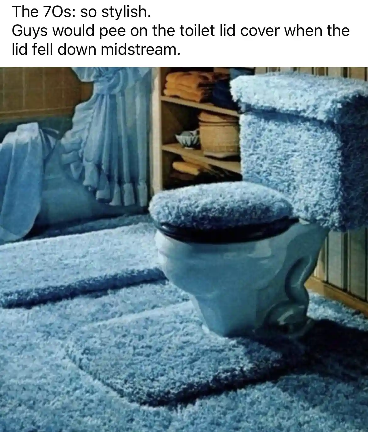 An image of a bathroom with a toilet covered in thick, shaggy blue carpeting, including the lid and seat, set against a…