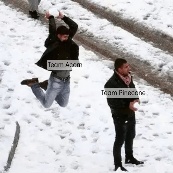 Let's Go Team Acorn!