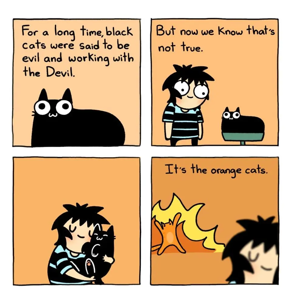 Who Can Resist an Adorable Kitten?
