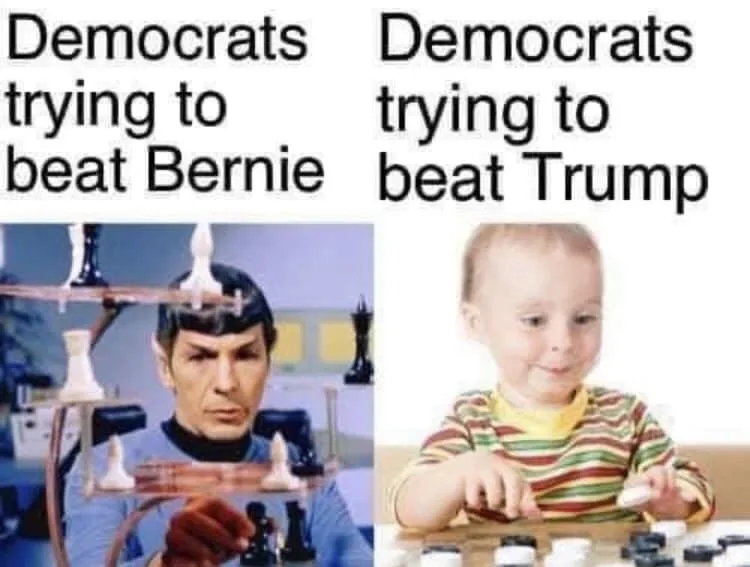 Meet the Berniedems: A Political Meme Journey