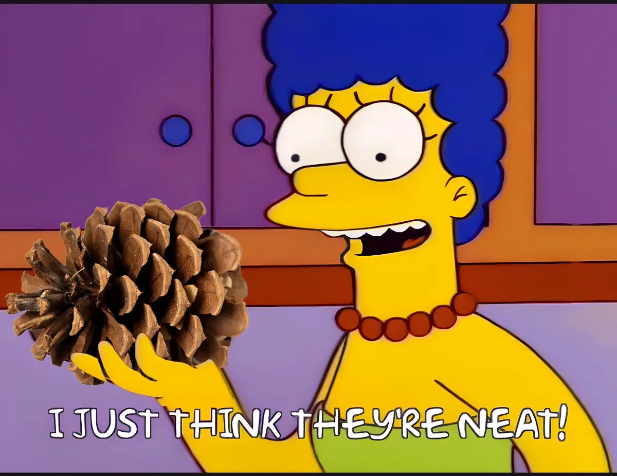 Pinecone Alert!!!