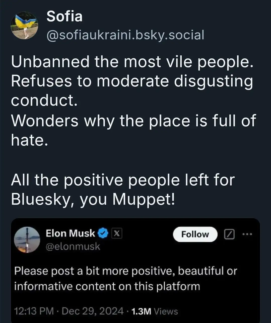 A screenshot of a Bluesky post by user Sofia criticizing Elon Musk's X platform for not moderating hateful content…