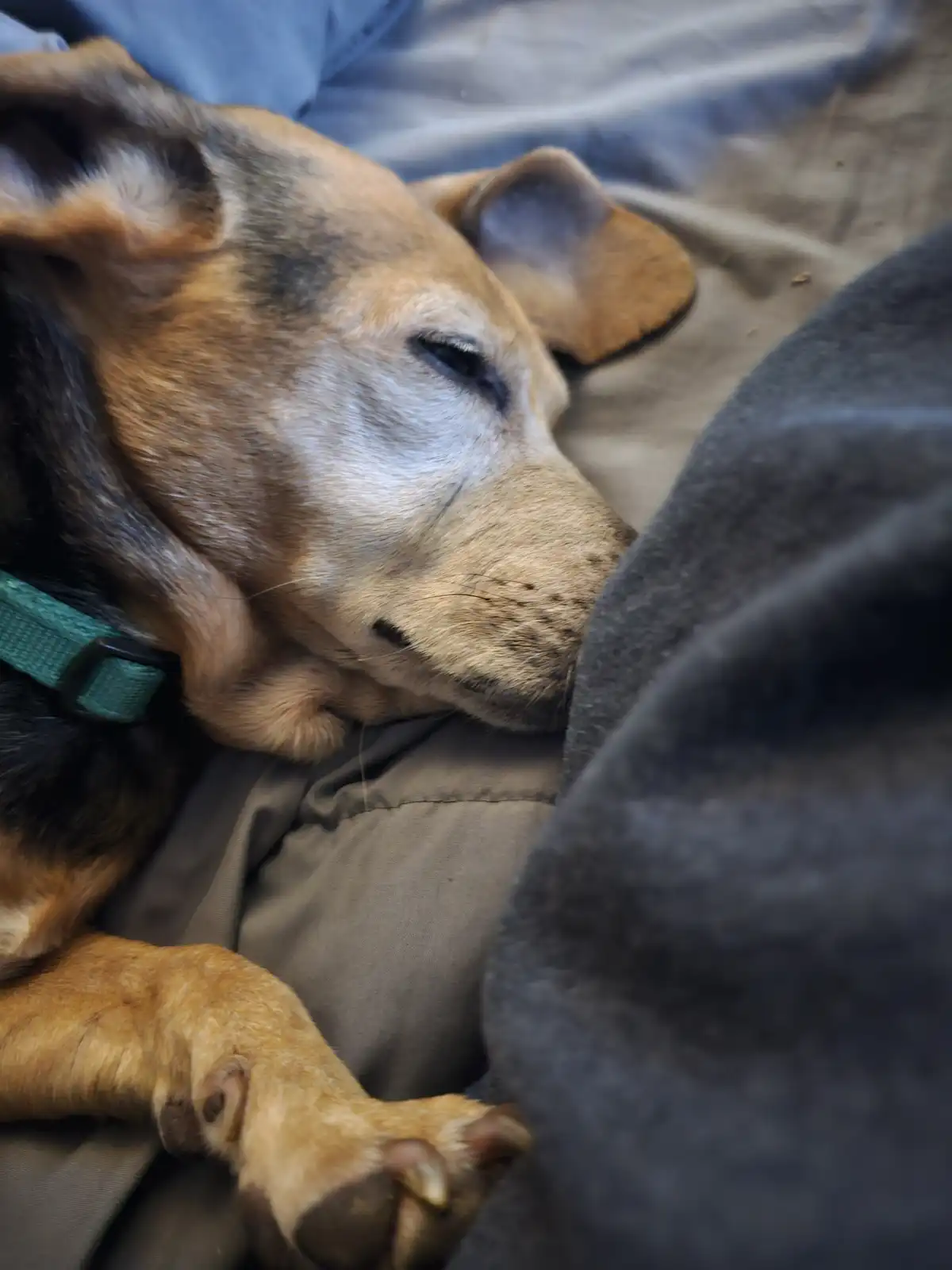 Wake Up and Shine, Pepper! It's a New Day