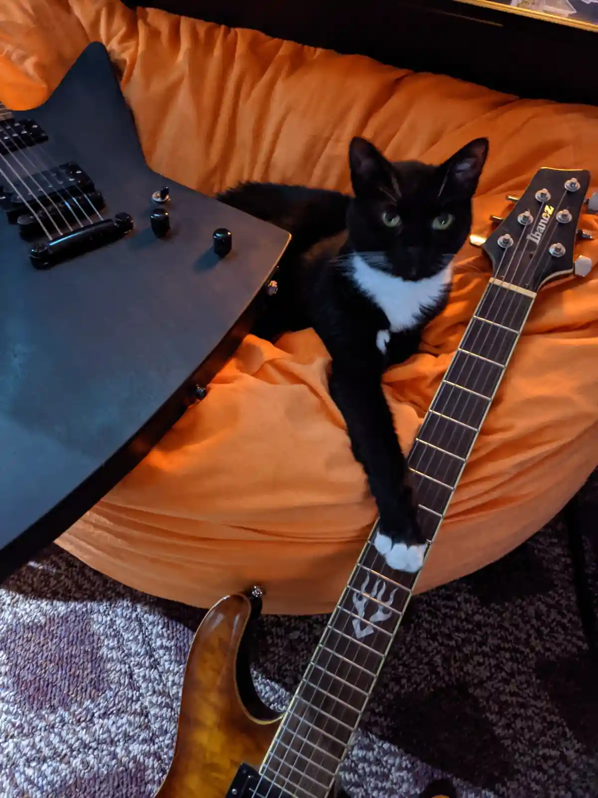 A black and white cat lounges on an orange beanbag chair, its front paw resting on the fretboard of a black Ibanez electric…