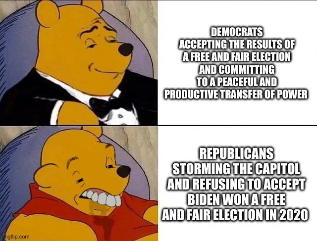 The image is a two-panel meme featuring Winnie the Pooh. In the top panel, Pooh in a tuxedo smiles calmly while text says…
