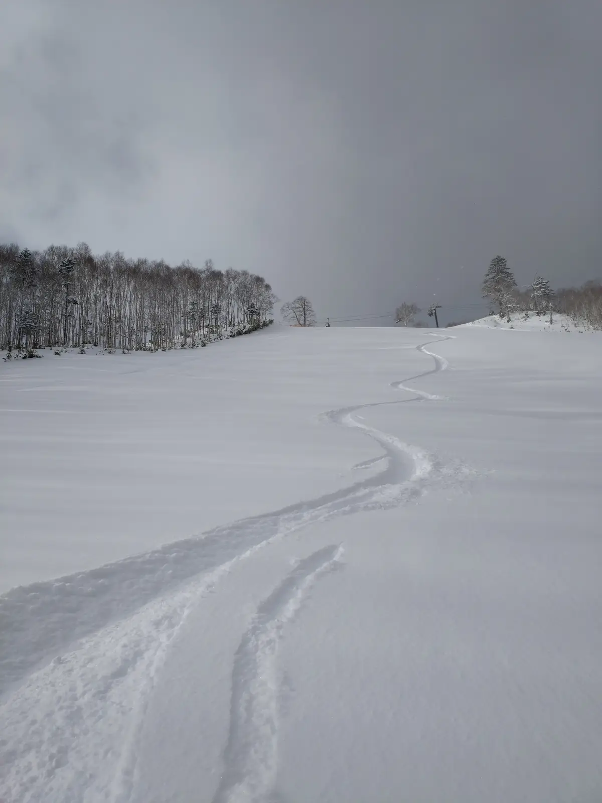 The First Track: A Journey Begins