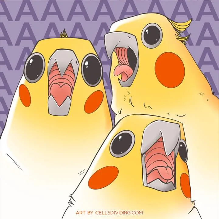 Surprise! It's a Bird Bonanza!