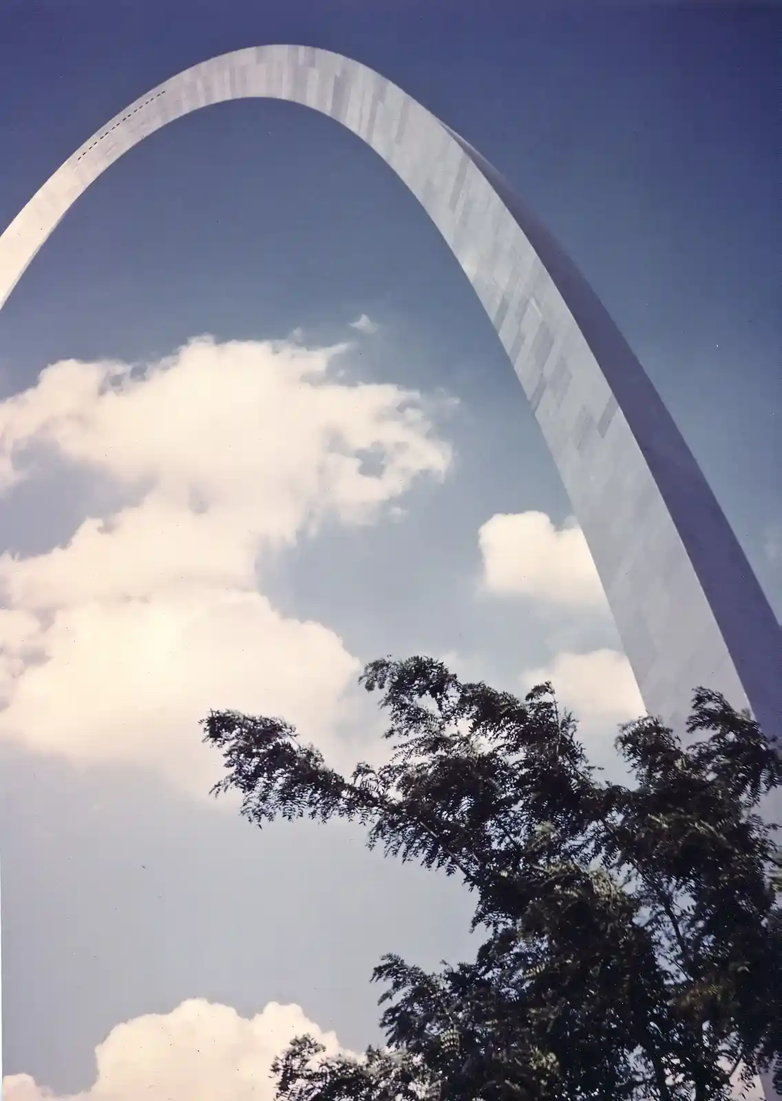 A low-angle photograph shows the Gateway Arch in St. Louis against a blue sky with white clouds, with tree branches visible…