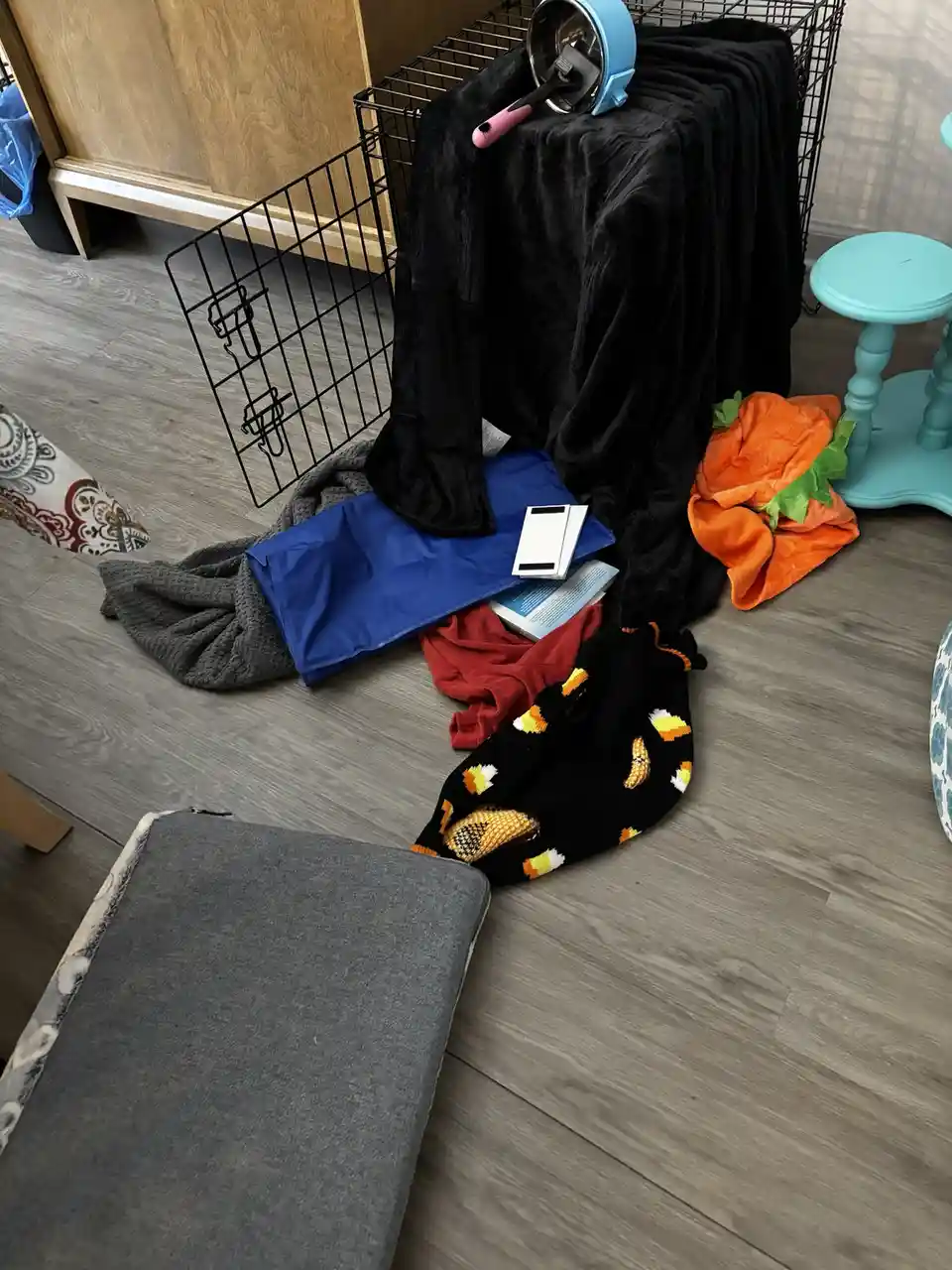 A messy room floor with a black wire pet crate, blankets, a blue cooling pad, a book, candy corn socks, and a pumpkin plush…