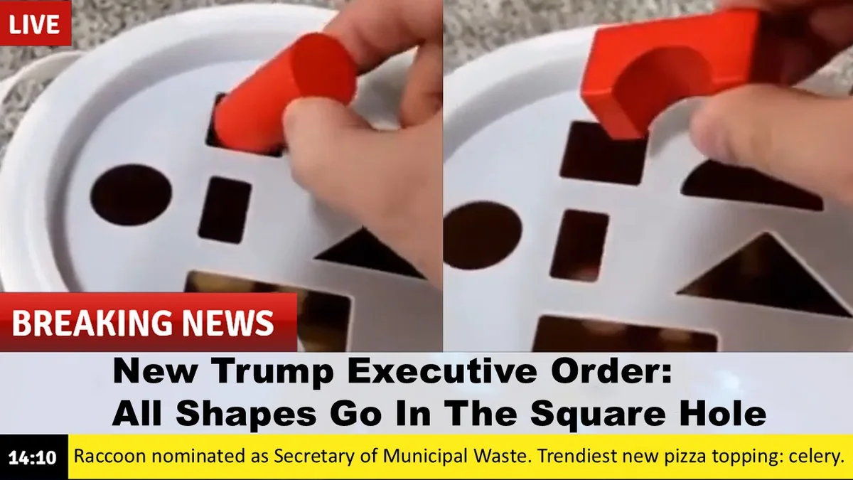 Introducing the Bold New Executive Order