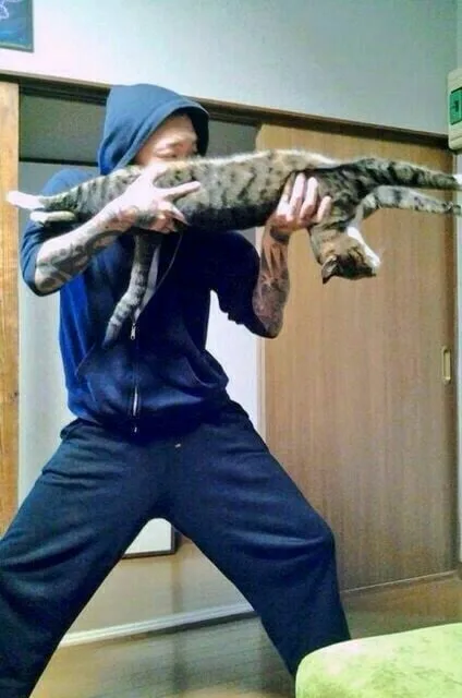 A person in a blue hoodie and dark pants stands in a wide stance, holding a tabby cat horizontally across their chest with…