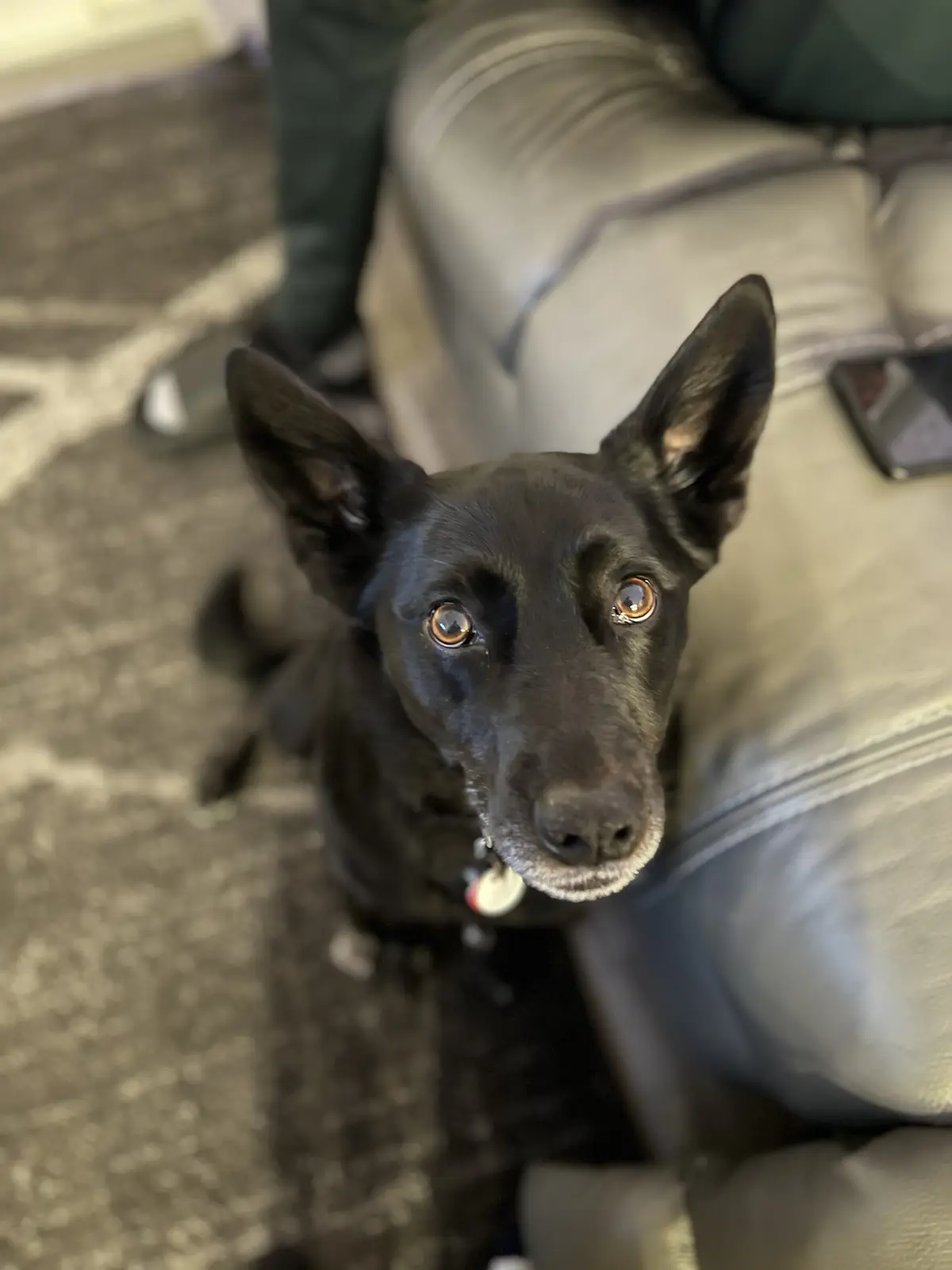 This old goose is serving some serious puppy dog eyes