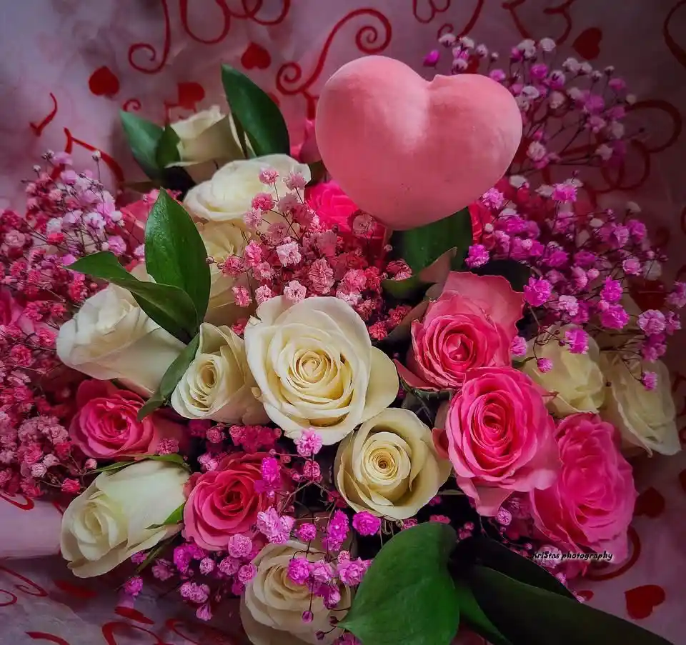 A vibrant bouquet of pink and cream roses mixed with baby's breath flowers is arranged against a pink paper background with…