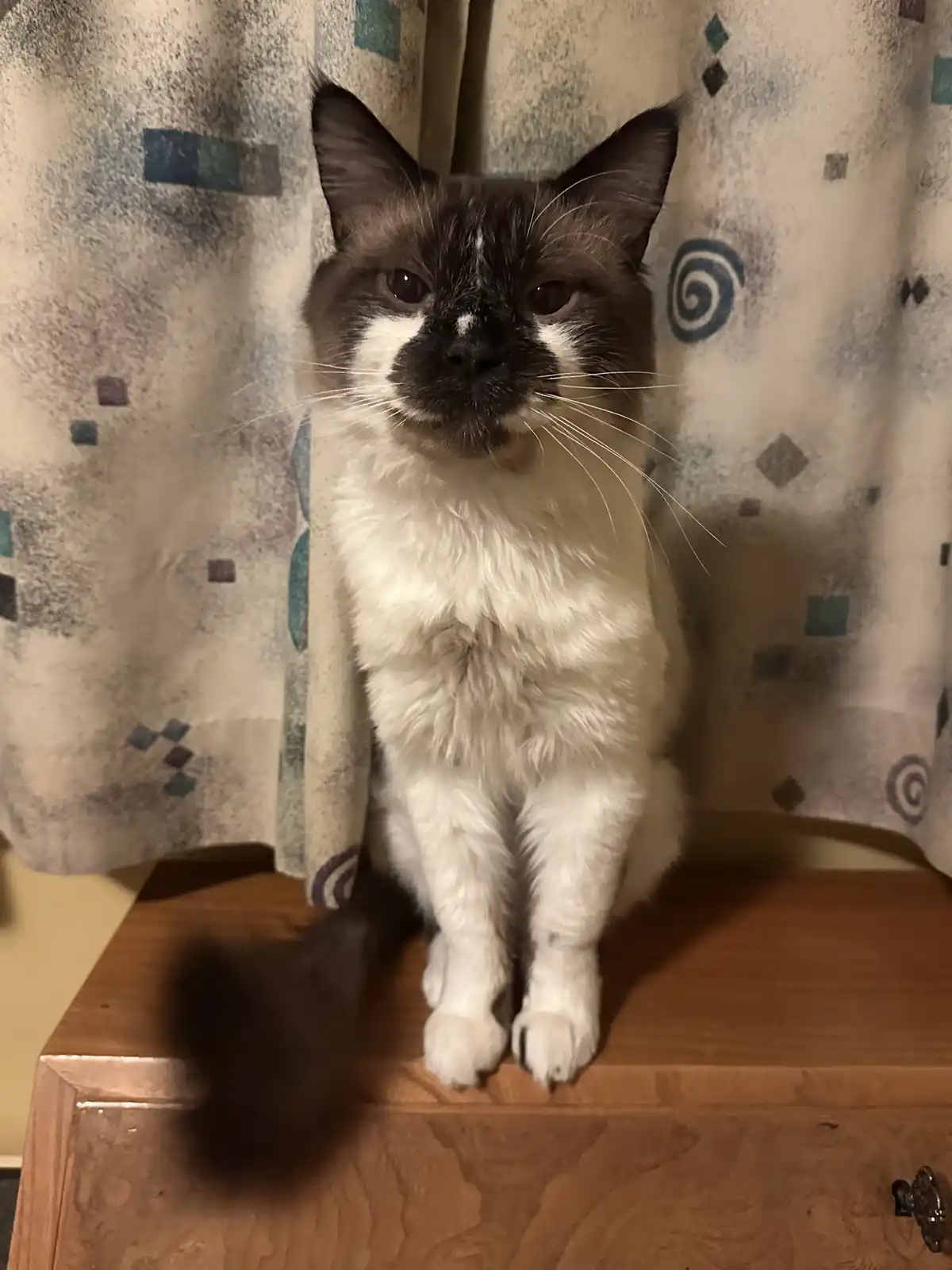 Timmy sends his warm greetings!