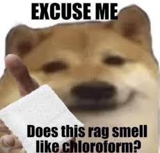 A blurry, close-up image of a Shiba Inu dog holding a white rag in its mouth, with the text 'EXCUSE ME' at the top and 'Does…