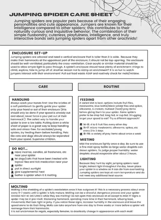 A black-and-white document titled 'JUMPING SPIDER CARE SHEET' provides detailed instructions on enclosure setup, handling…