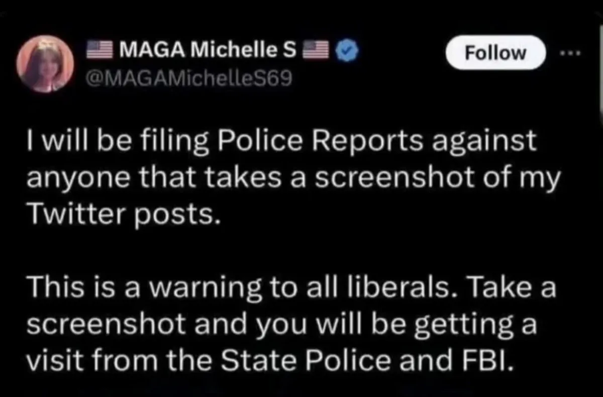 A screenshot of a Twitter post by user 'MAGA Michelle S' (@MAGAMichelleS69) with a verified blue checkmark. The post reads…