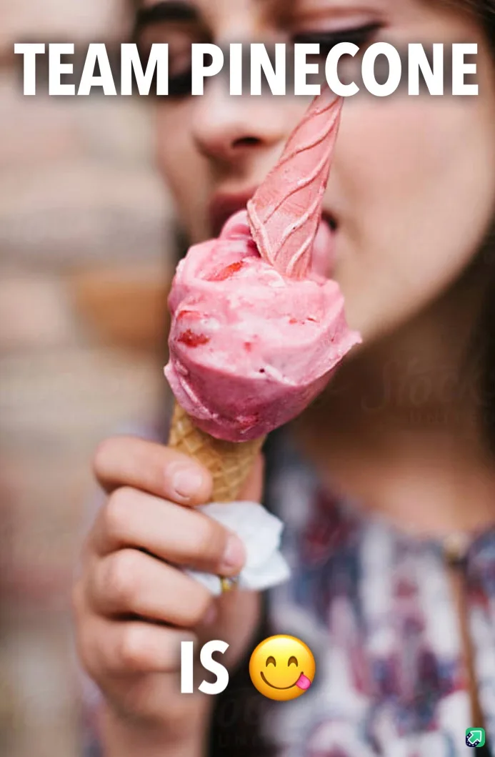 Team PINECONE: A Tasty Delight!