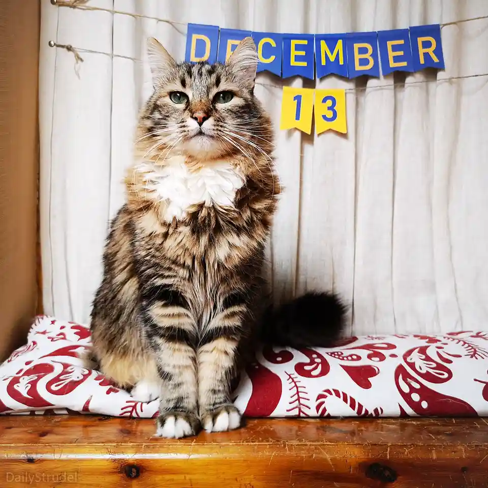 Mark Your Calendars: December 13