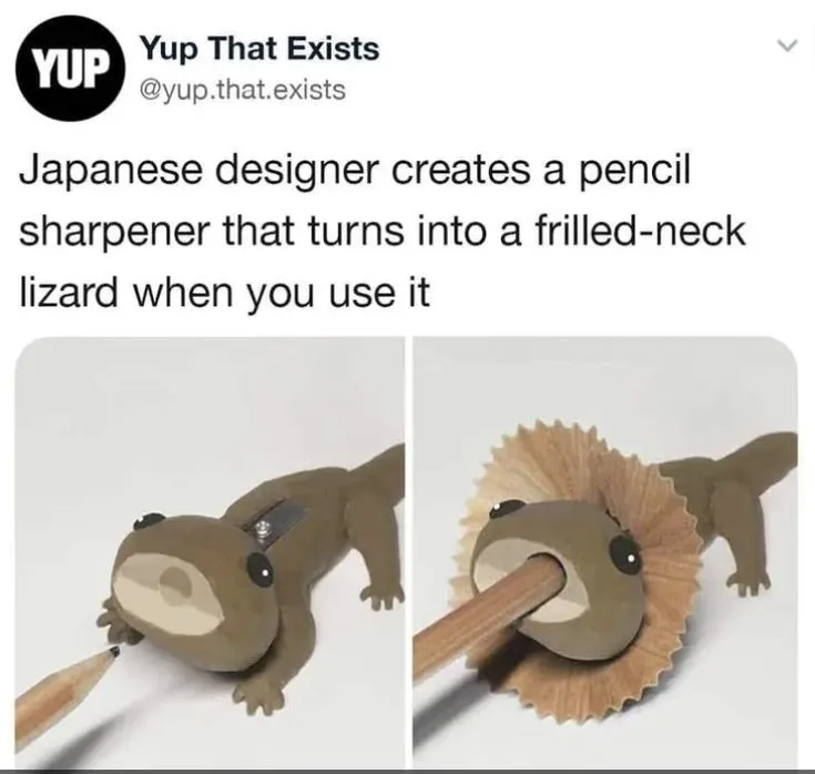 The image displays a two-panel meme showing a pencil sharpener shaped like a brown frilled-neck lizard. In the left panel…