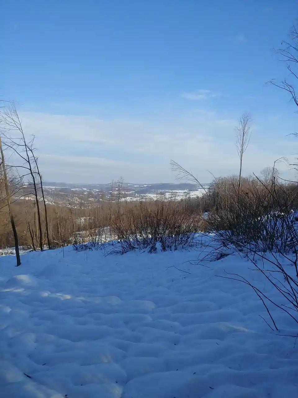 Winter Wonderland: A Snowy Delight
