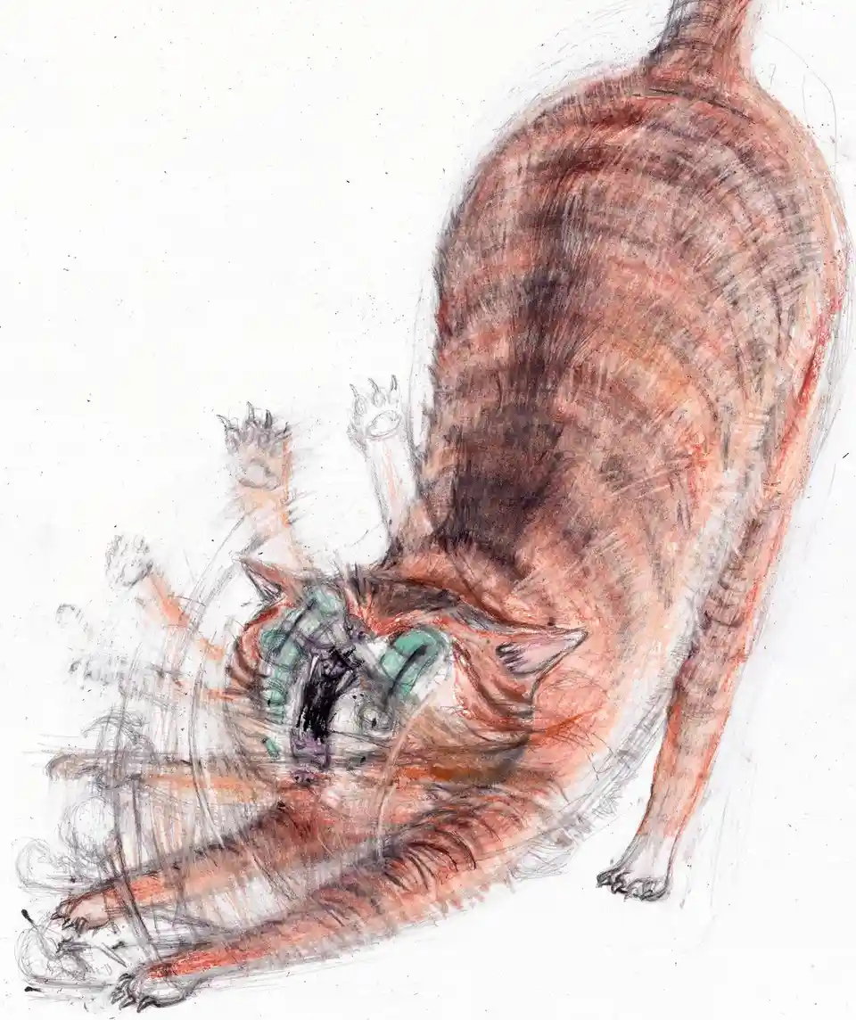 A Hilarious Look at Typical Cat Behavior by Leïo Forest