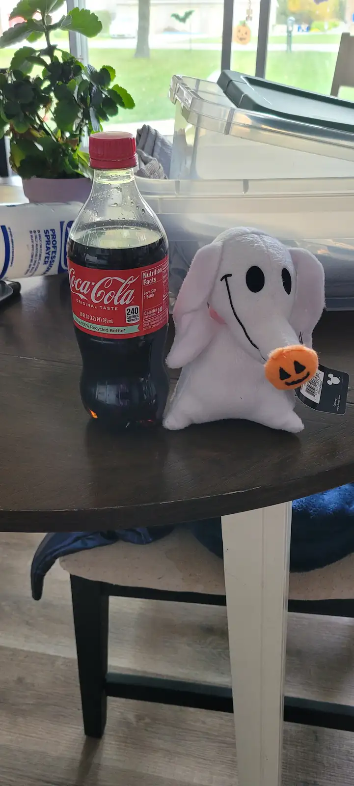 Making Healthier Choices: My Switch to Coke Zero