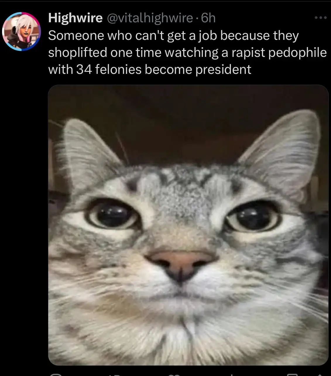 A close-up photo of a gray tabby cat with wide, unblinking eyes staring directly at the camera, conveying a look of stunned…