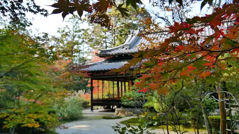 A serene Japanese garden photo featuring a traditional wooden pavilion with a tiled roof, framed by vibrant red and green…
