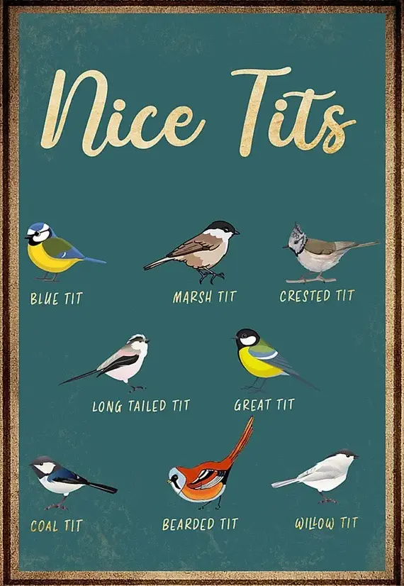 A vintage-style poster displays seven illustrated bird species, each labeled with its common name: Blue Tit, Marsh Tit…