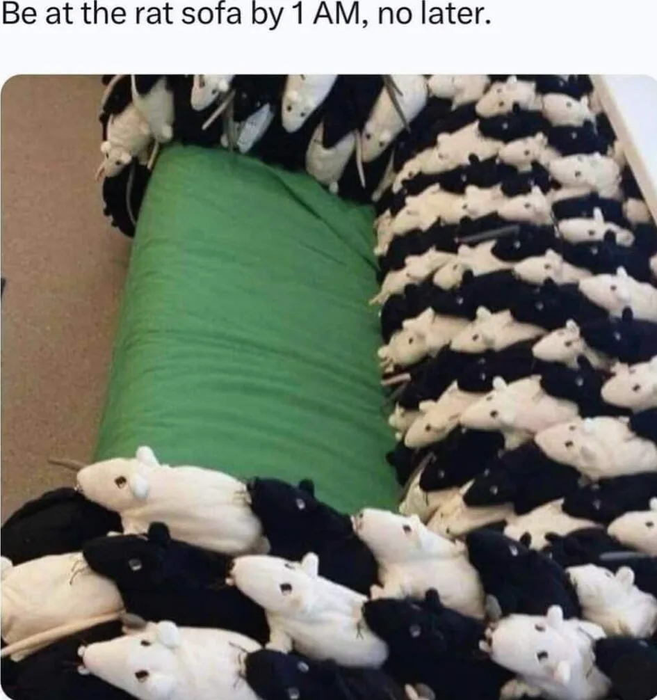 The Cozy Rat Couch: A Unique Sofa Experience