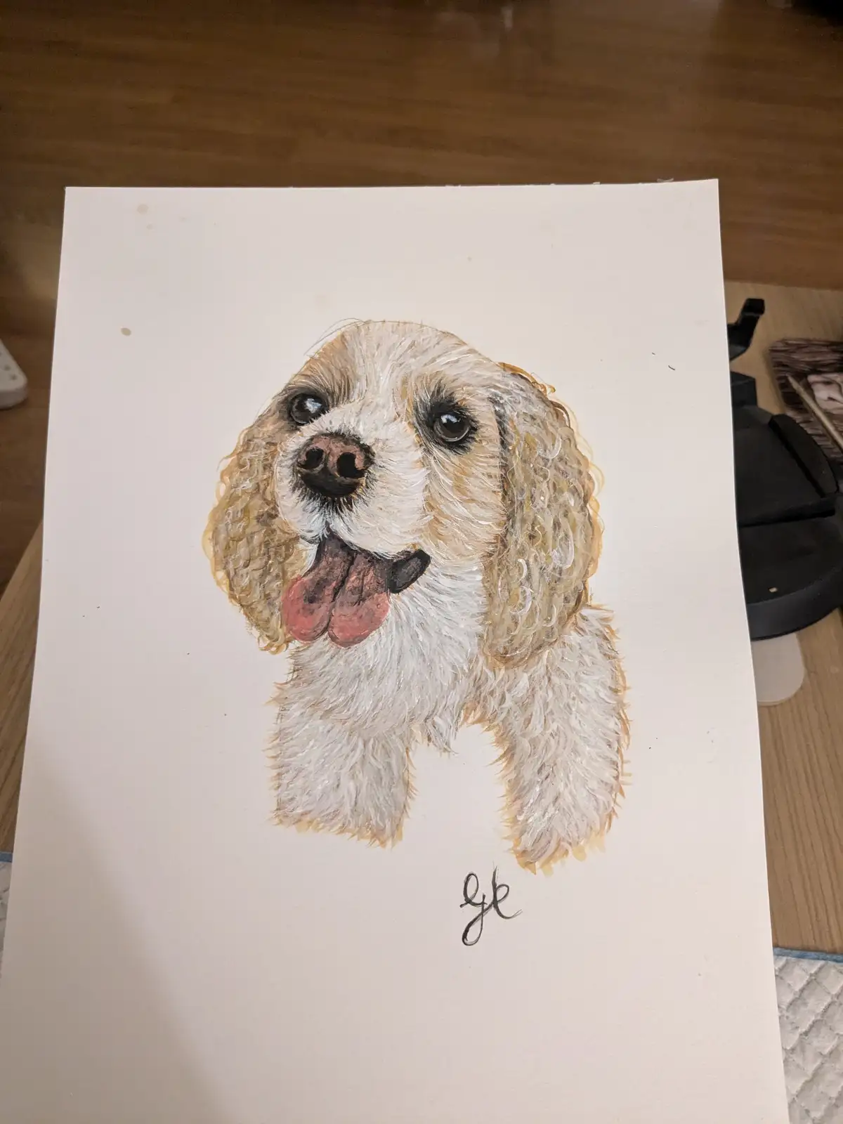 Meet the Adorable Cocker Spaniel