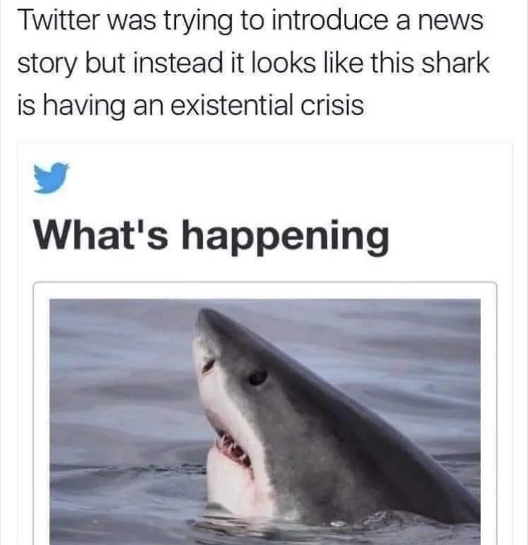 Yeah, I Feel You, Shark: Relatable Moments