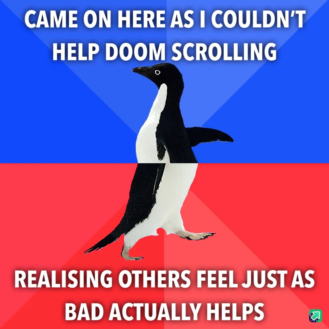 A black-and-white penguin stands centered against a split blue and red background. White bold text at the top reads 'CAME ON…