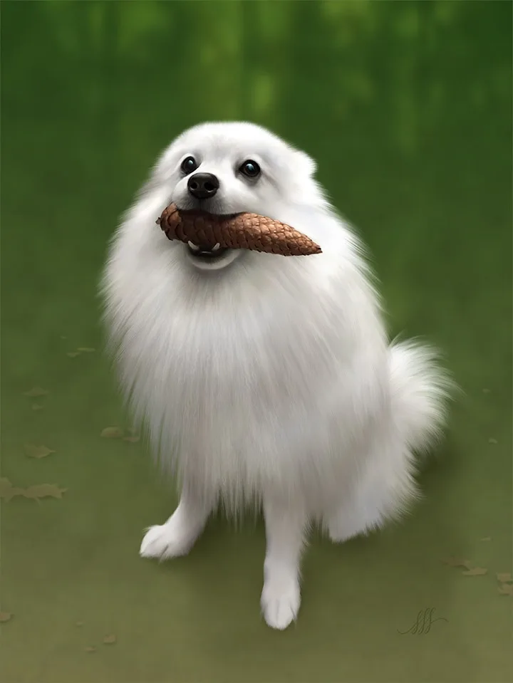 A fluffy white dog, likely a Pomeranian, sits in a green outdoor setting holding a pinecone in its mouth. The dog has a…