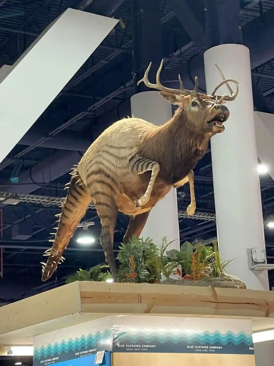 A taxidermied deer with zebra-like black and white stripes on its torso, legs, and tail, mounted in a dynamic leaping pose…