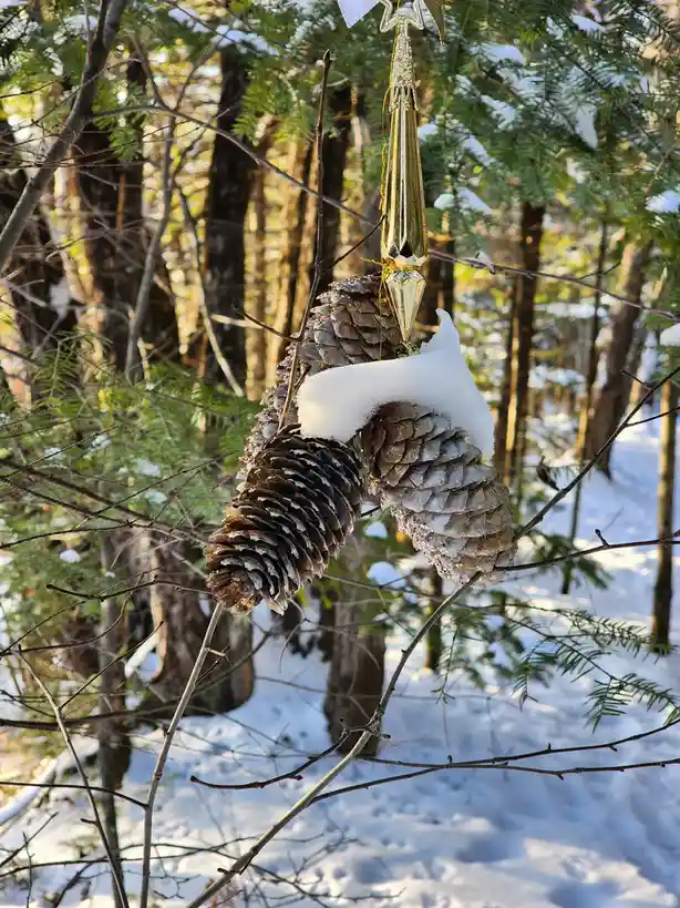 A golden, faceted Christmas tree ornament hangs from a snowy pine cone that is itself attached to a tree branch in a snowy…