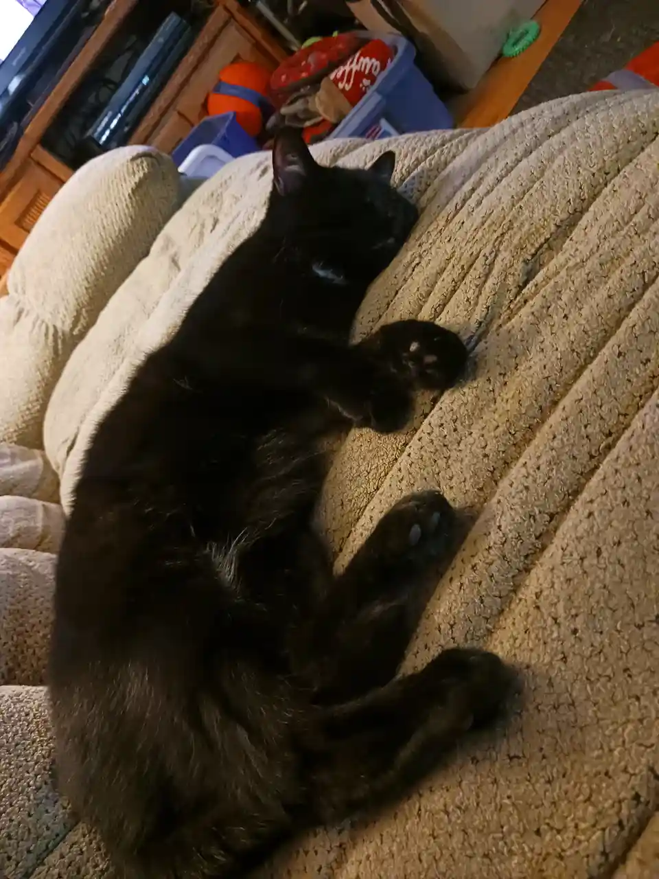 A black cat is sleeping curled up on a beige textured couch, its paws visible and eyes closed. In the background, there are…